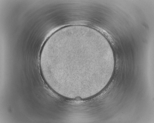 X0000115581184200912221043