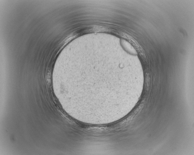 X0000115581185200912221043