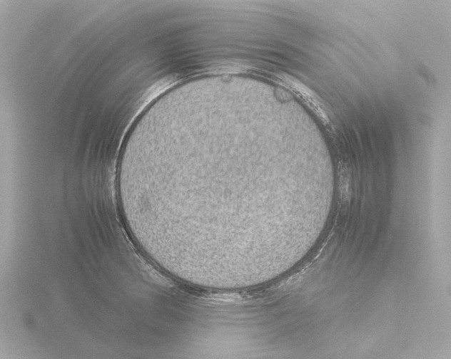 X0000115581186200912221043