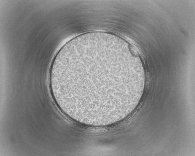 X0000115581187200912221043