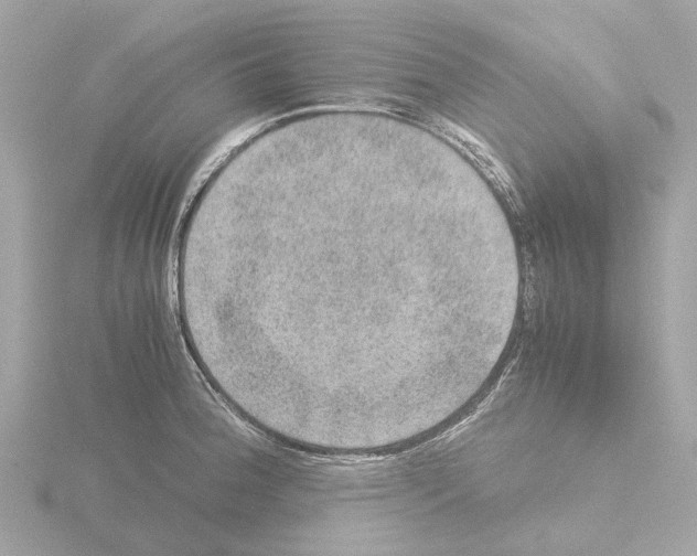 X0000115581188200912221043