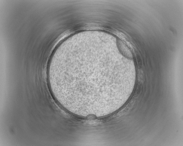 X0000115581189200912221043