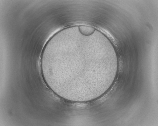 X0000115581190200912221043