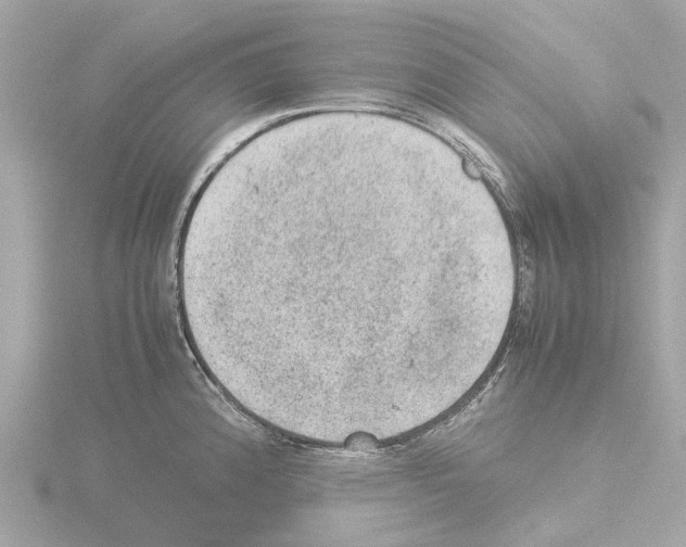 X0000115581192200912221043