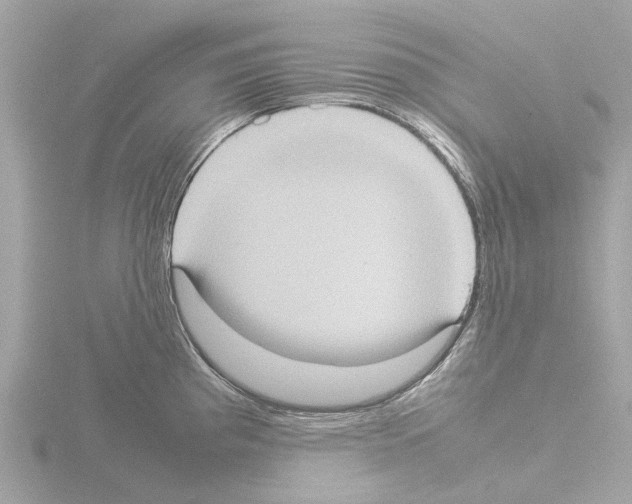 X0000115581193200912221043