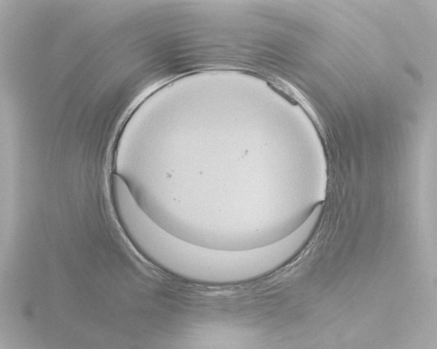 X0000115581195200912221043