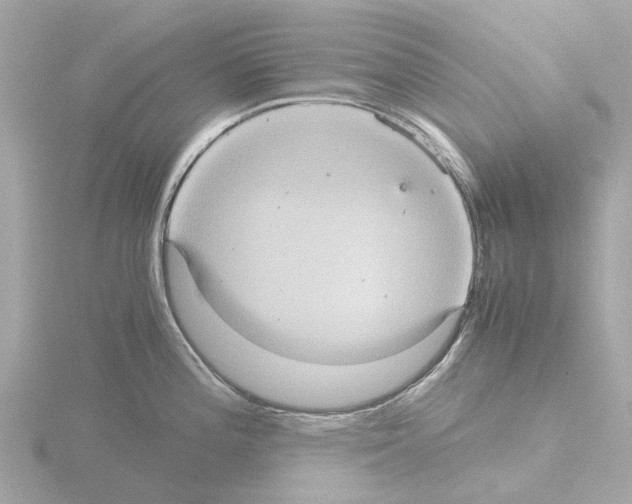 X0000115581196200912221043