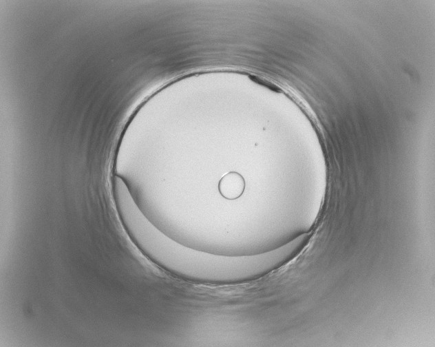 X0000115581197200912221043