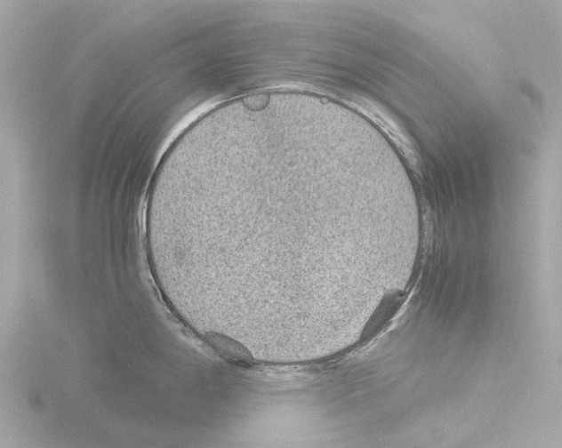 X0000115581198200912221043