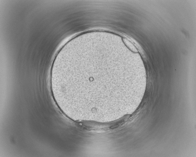 X0000115581199200912221043