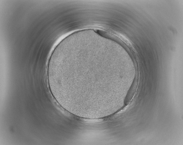 X0000115581200200912221043