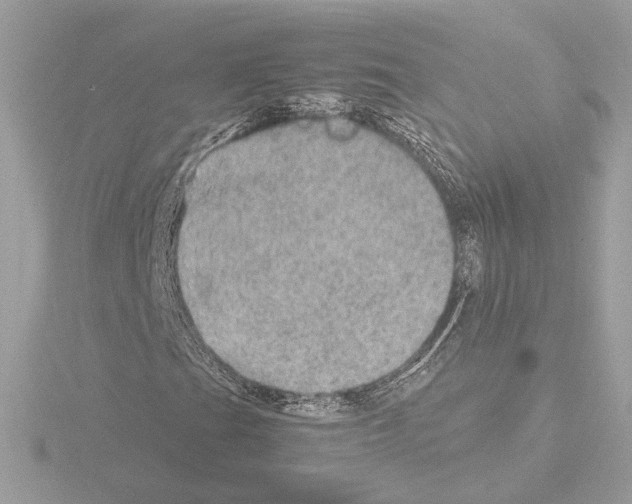 X0000115581201200912221042