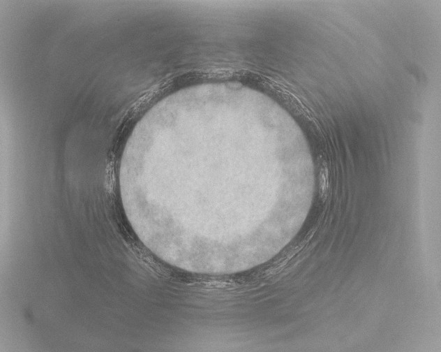 X0000115581204200912221042