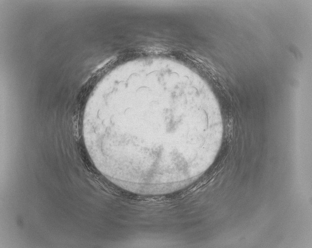 X0000115581205200912221042