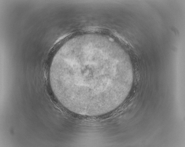 X0000115581206200912221042