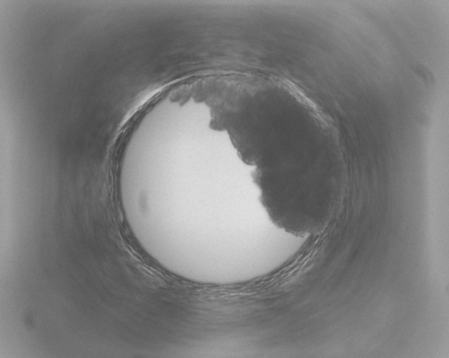 X0000115581208200912221042