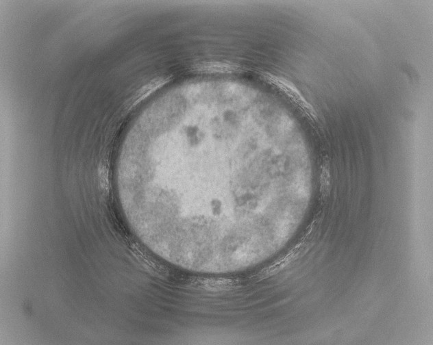 X0000115581209200912221042