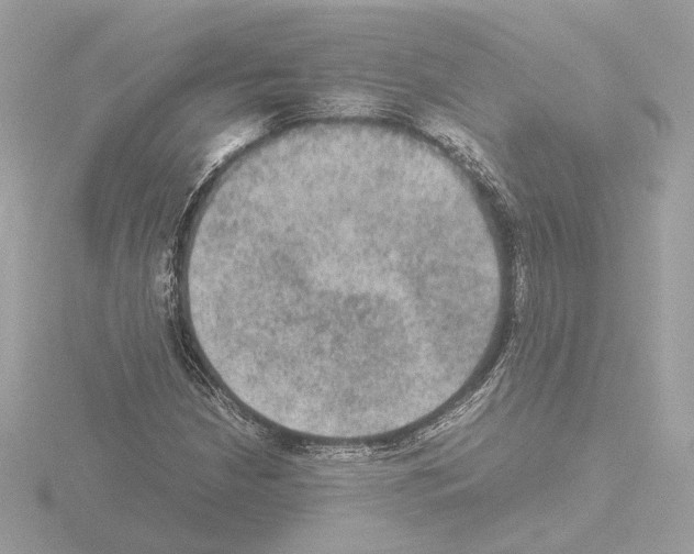 X0000115581210200912221042