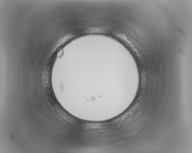 X0000115581211200912221042