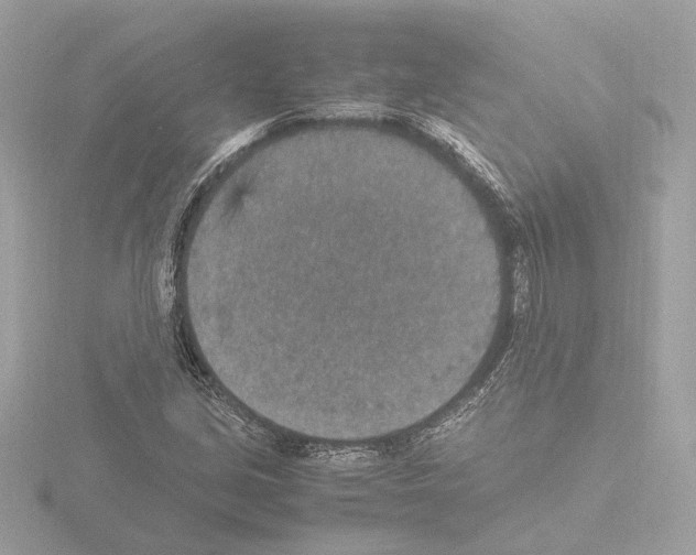 X0000115581213200912221042