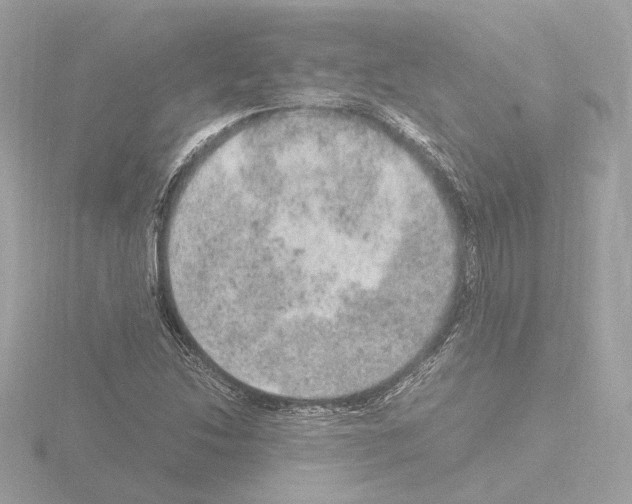 X0000115581214200912221042