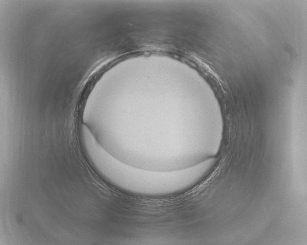 X0000115581215200912221042