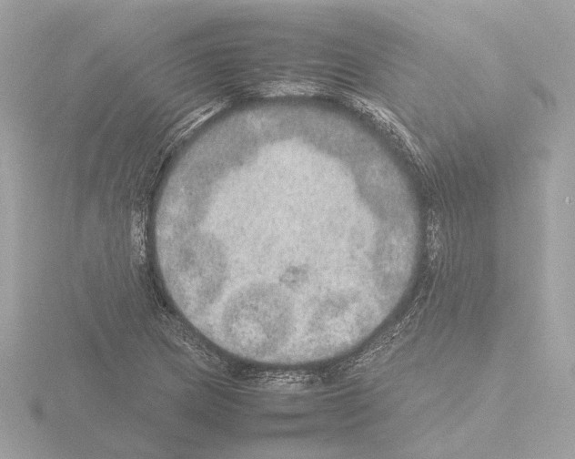 X0000115581217200912221042