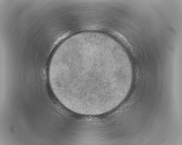 X0000115581218200912221042