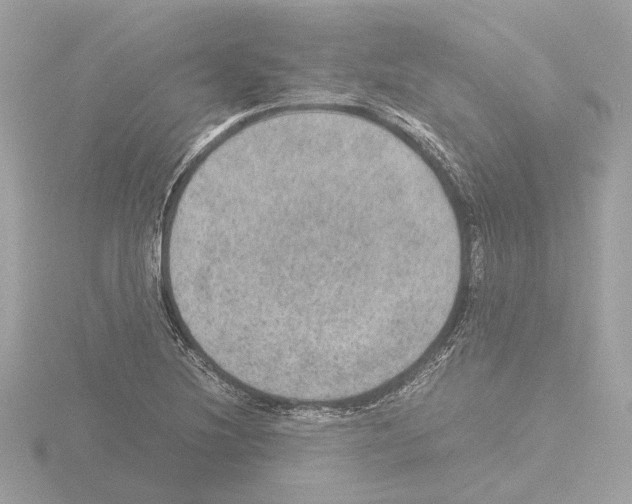 X0000115581220200912221042