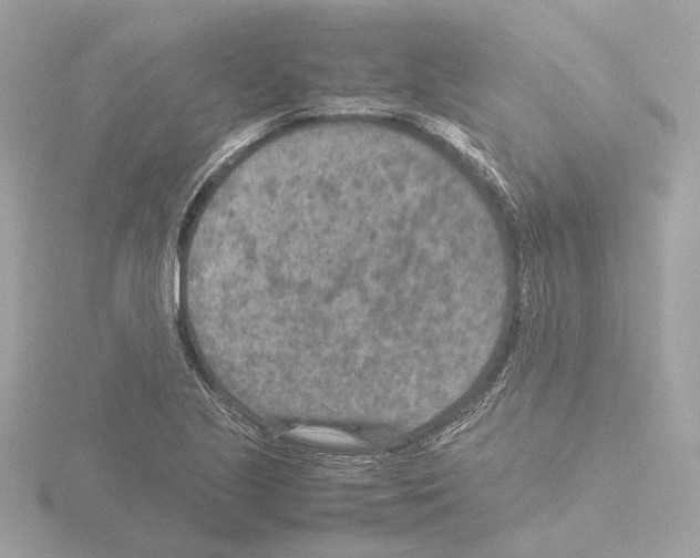 X0000115581221200912221042