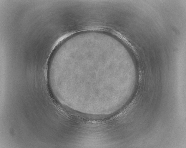 X0000115581222200912221042