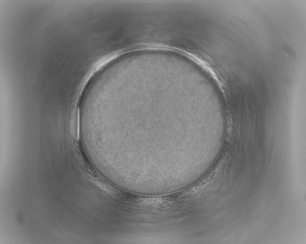 X0000115581223200912221042