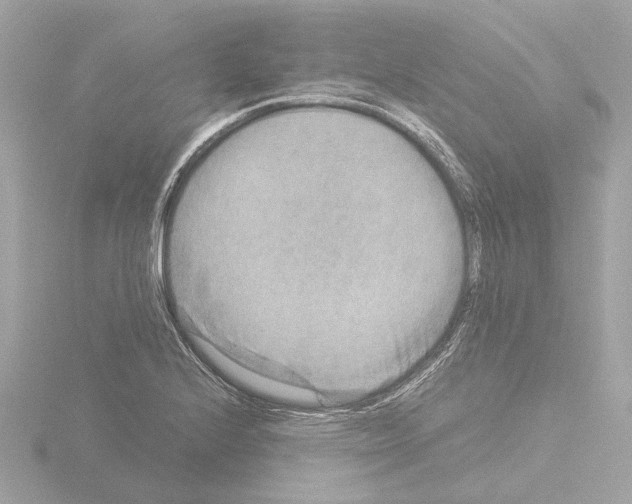 X0000115581224200912221042