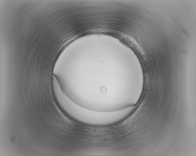 X0000115581225200912221042