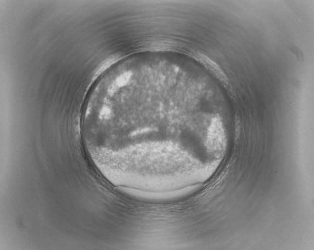 X0000115581226200912221042