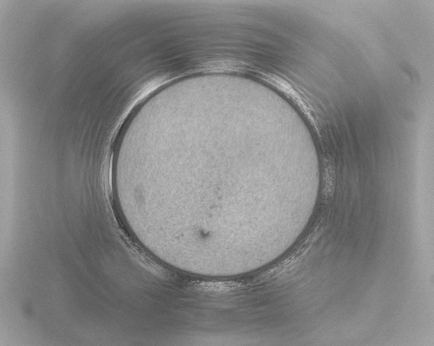 X0000115581227200912221042