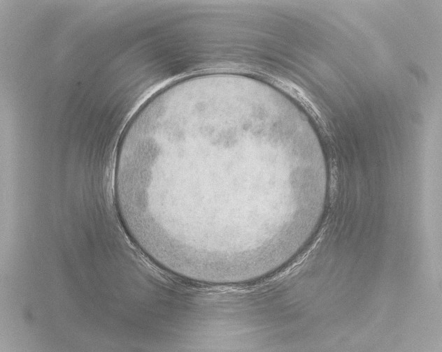 X0000115581228200912221042