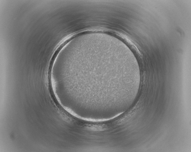 X0000115581229200912221042