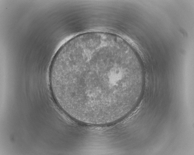 X0000115581230200912221042