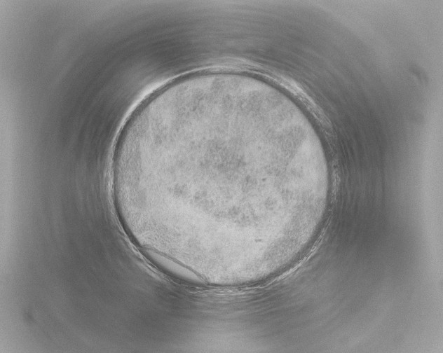 X0000115581232200912221042