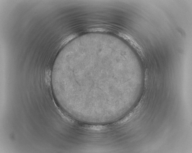 X0000115581233200912221042