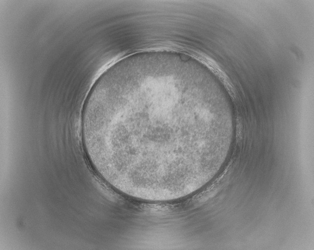 X0000115581234200912221042