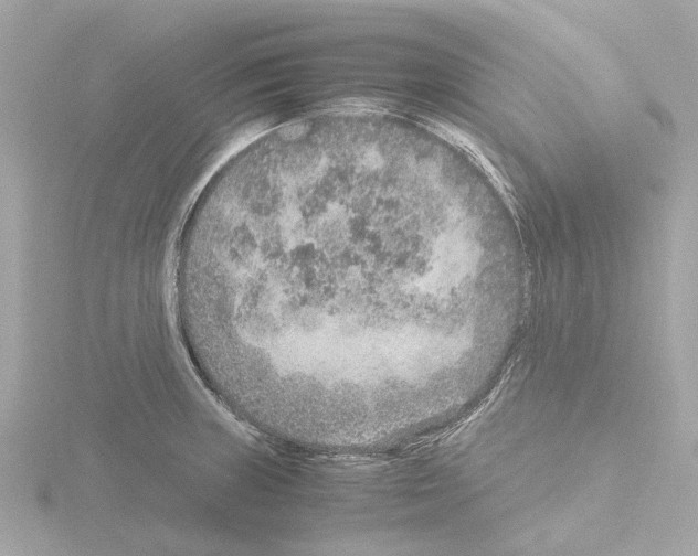 X0000115581235200912221042