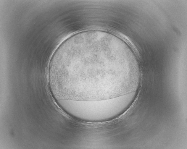 X0000115581236200912221042