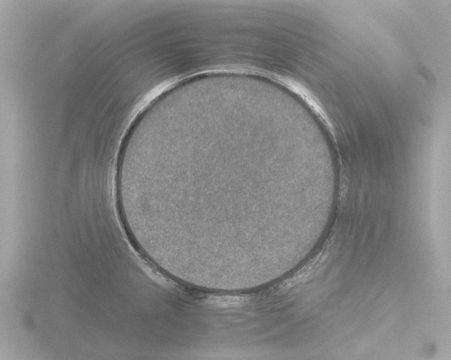 X0000115581237200912221042