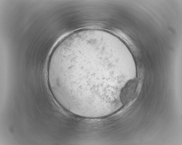 X0000115581240200912221042