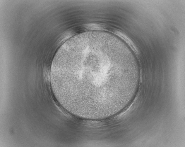 X0000115581241200912221043