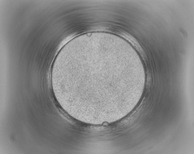 X0000115581242200912221043