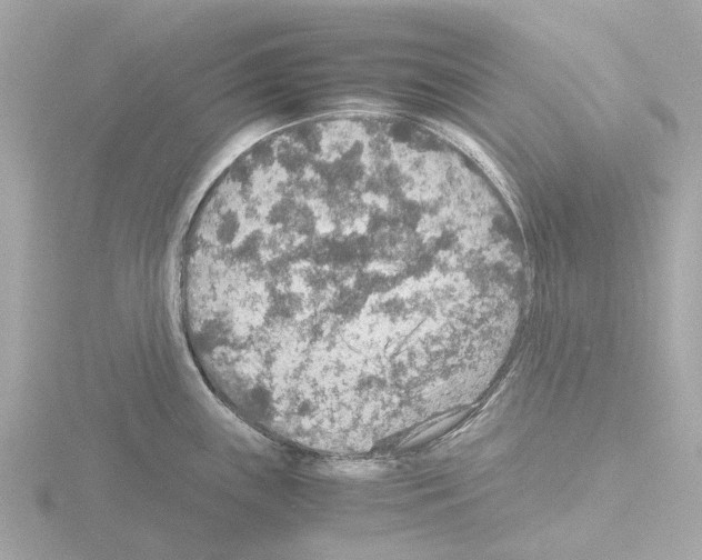 X0000115581243200912221043