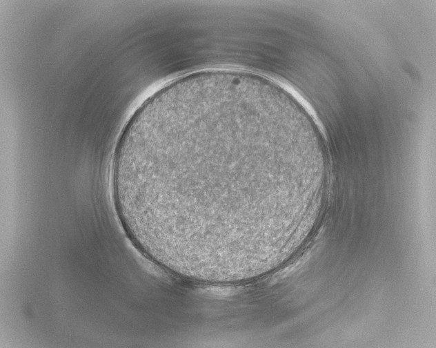 X0000115581245200912221043